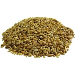 Brown's Encore Classic Natural Parakeet Food 16 Brown's Encore Classic Natural Parakeet Food -Sunny Decor Shop 94743 PT6. AC SS1800 V1673647878