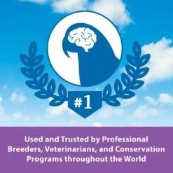 Kaytee Exact Handfeeding Baby Bird Food -Sunny Decor Shop 94966 PT7. AC SS1800 V1622784186