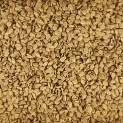 Kaytee Exact Natural Parrot & Conure Pet Bird Food -Sunny Decor Shop 94999 PT3. AC SS1800 V1676063684