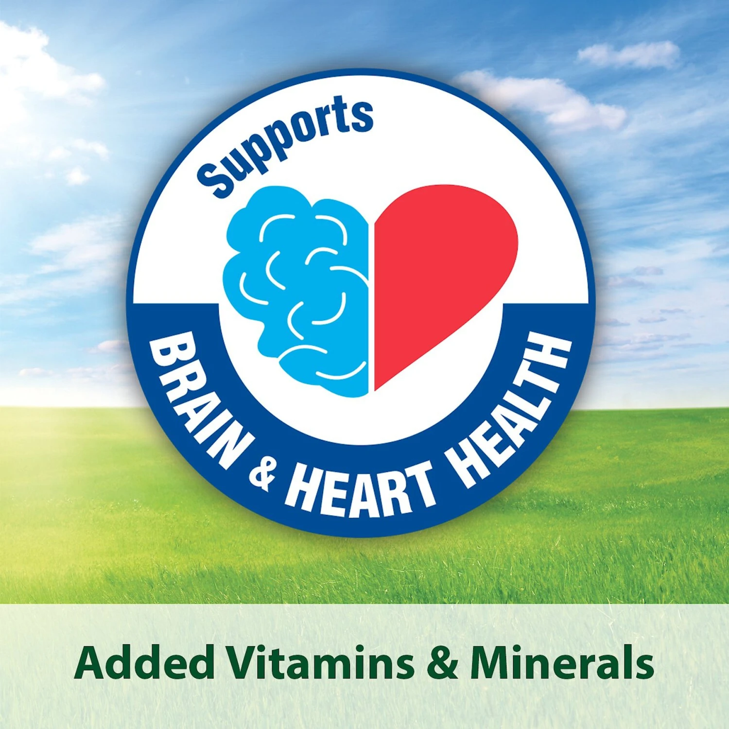 Kaytee Exact Rainbow Parrot & Conure Bird Food 9 Kaytee Exact Rainbow Parrot & Conure Bird Food - Image 7