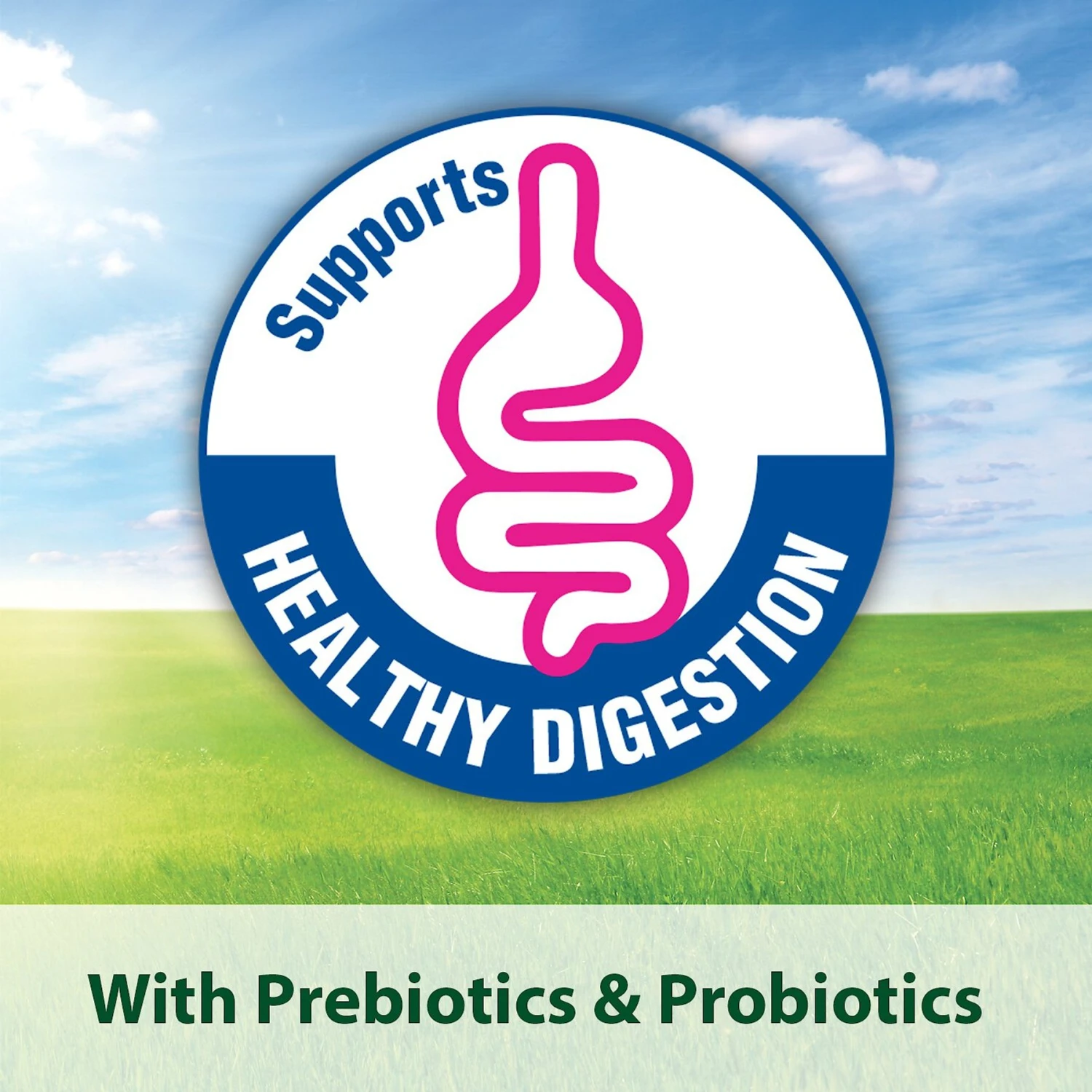 Kaytee Exact Rainbow Parrot & Conure Bird Food 11 Kaytee Exact Rainbow Parrot & Conure Bird Food - Image 9