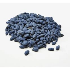 Kaytee Fiesta Blueberry Flavored Yogurt Dipped Sunflower Seeds Bird Treats -Sunny Decor Shop 95112 PT2. AC SS1800 V1691781774