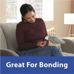 Kaytee Fiesta Blueberry Flavored Yogurt Dipped Sunflower Seeds Bird Treats -Sunny Decor Shop 95112 PT3. AC SS1800 V1692020799