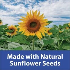 Kaytee Fiesta Blueberry Flavored Yogurt Dipped Sunflower Seeds Bird Treats -Sunny Decor Shop 95112 PT4. AC SS1800 V1692020808