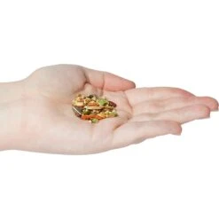 Kaytee Fiesta Garden Veggie Cockatiel Bird Treats -Sunny Decor Shop 95174 PT3. AC SS1800 V1688156516