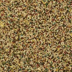 Kaytee Fiesta Variety Mix Canary & Finch Food -Sunny Decor Shop 95192 PT3. AC SS1800 V1620786490