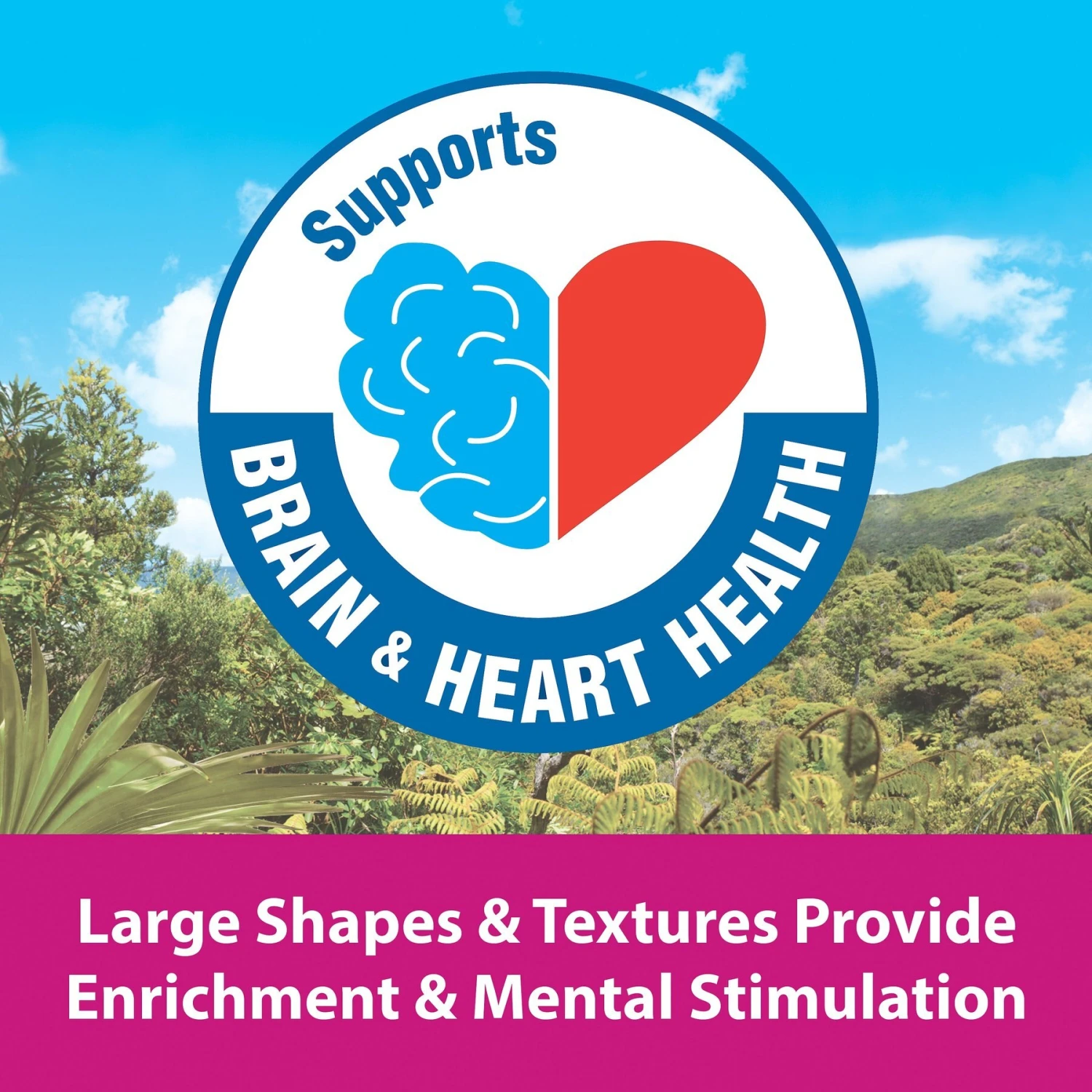 Kaytee Fiesta Big Bites Macaw Food 7 Kaytee Fiesta Big Bites Macaw Food - Image 5