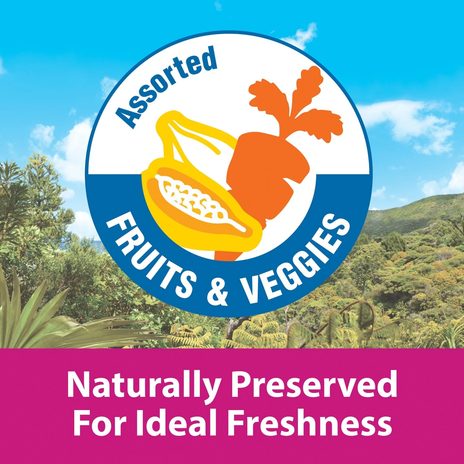 Kaytee Fiesta Big Bites Macaw Food 8 Kaytee Fiesta Big Bites Macaw Food - Image 6