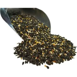 Bar ALE Buffet Blend No Millet Wild Bird Food, 7-lb Bag -Sunny Decor Shop 952246 PT2. AC SS1800 V1703620046