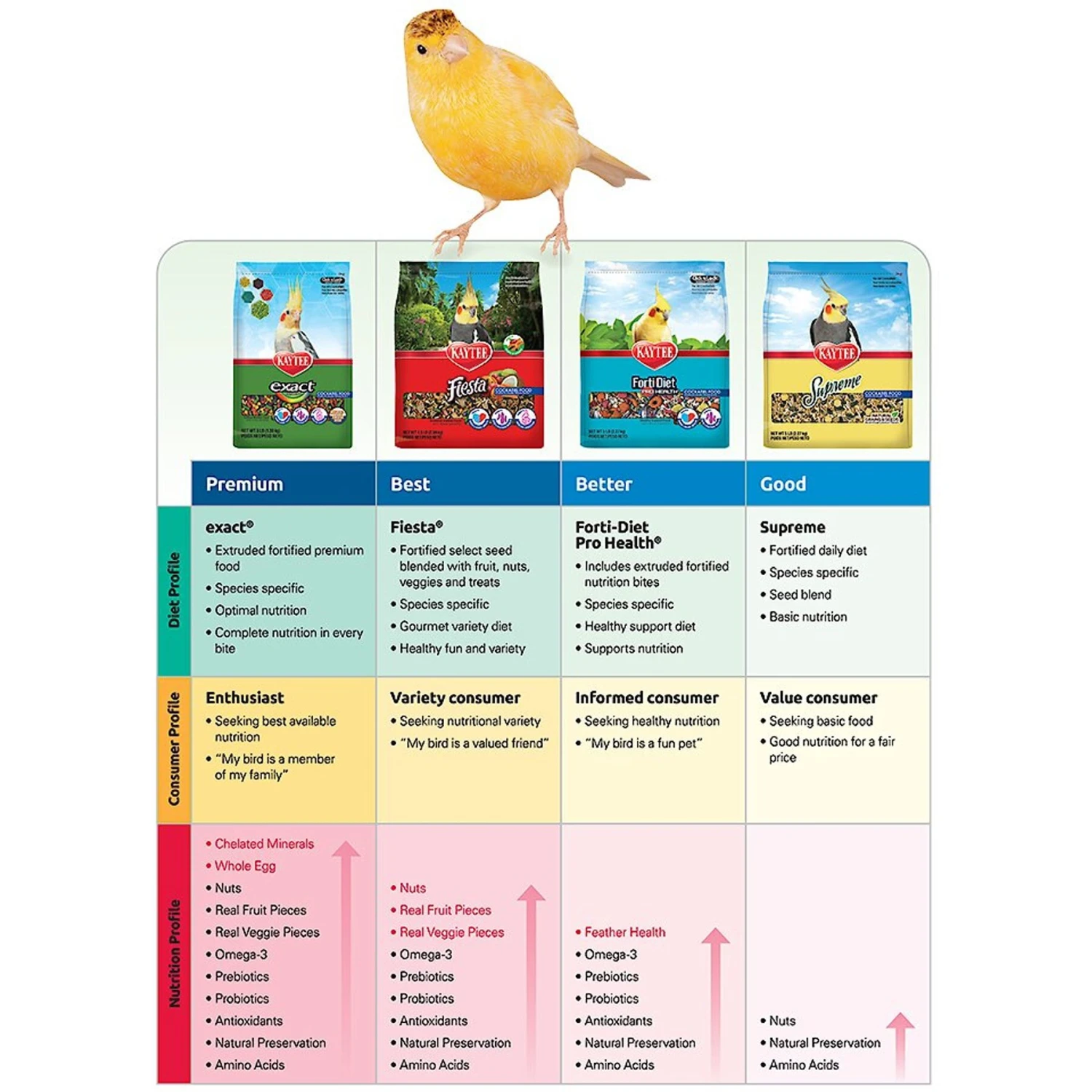 Kaytee Fiesta Variety Mix Macaw Food 7 Kaytee Fiesta Variety Mix Macaw Food - Image 5