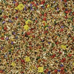 Kaytee Fiesta Variety Mix Parakeet Food 14 Kaytee Fiesta Variety Mix Parakeet Food -Sunny Decor Shop 95231 PT3. AC SS1800 V1618876691