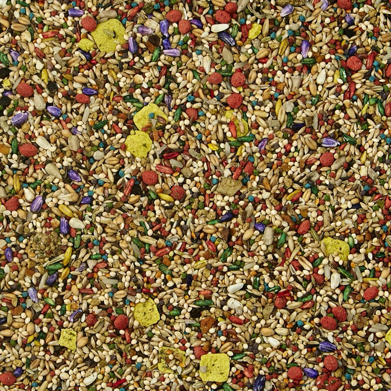 Kaytee Fiesta Variety Mix Parakeet Food 6 Kaytee Fiesta Variety Mix Parakeet Food - Image 4