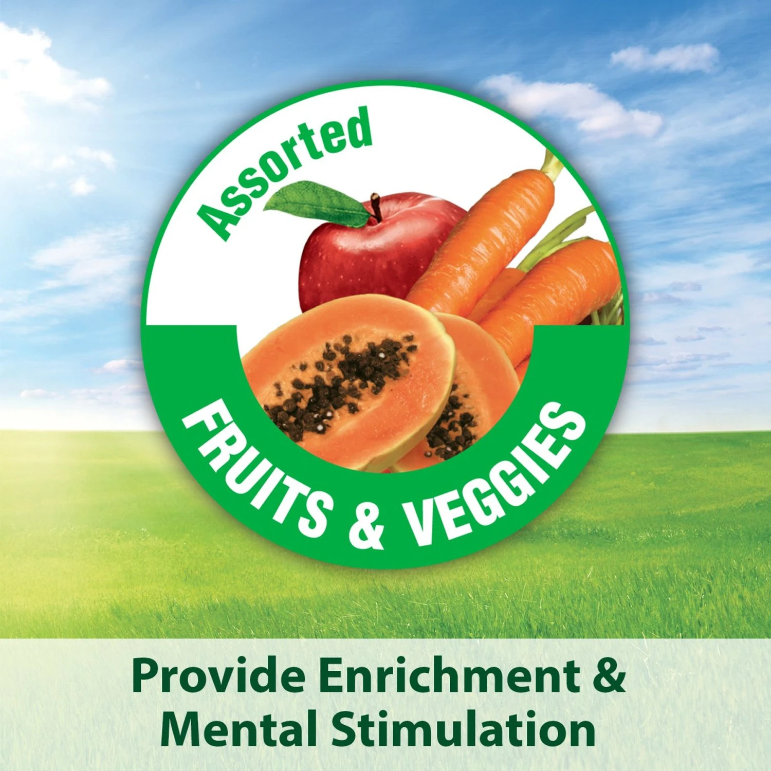 Kaytee Fiesta Variety Mix Parakeet Food 8 Kaytee Fiesta Variety Mix Parakeet Food - Image 6