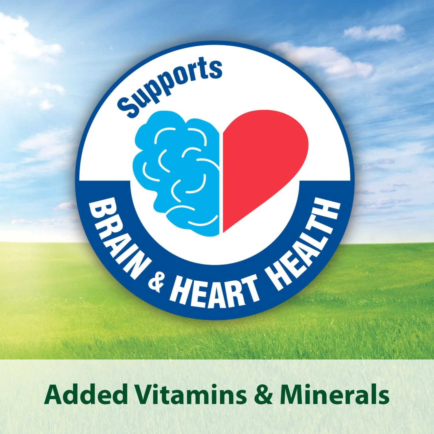 Kaytee Fiesta Variety Mix Parakeet Food 9 Kaytee Fiesta Variety Mix Parakeet Food - Image 7