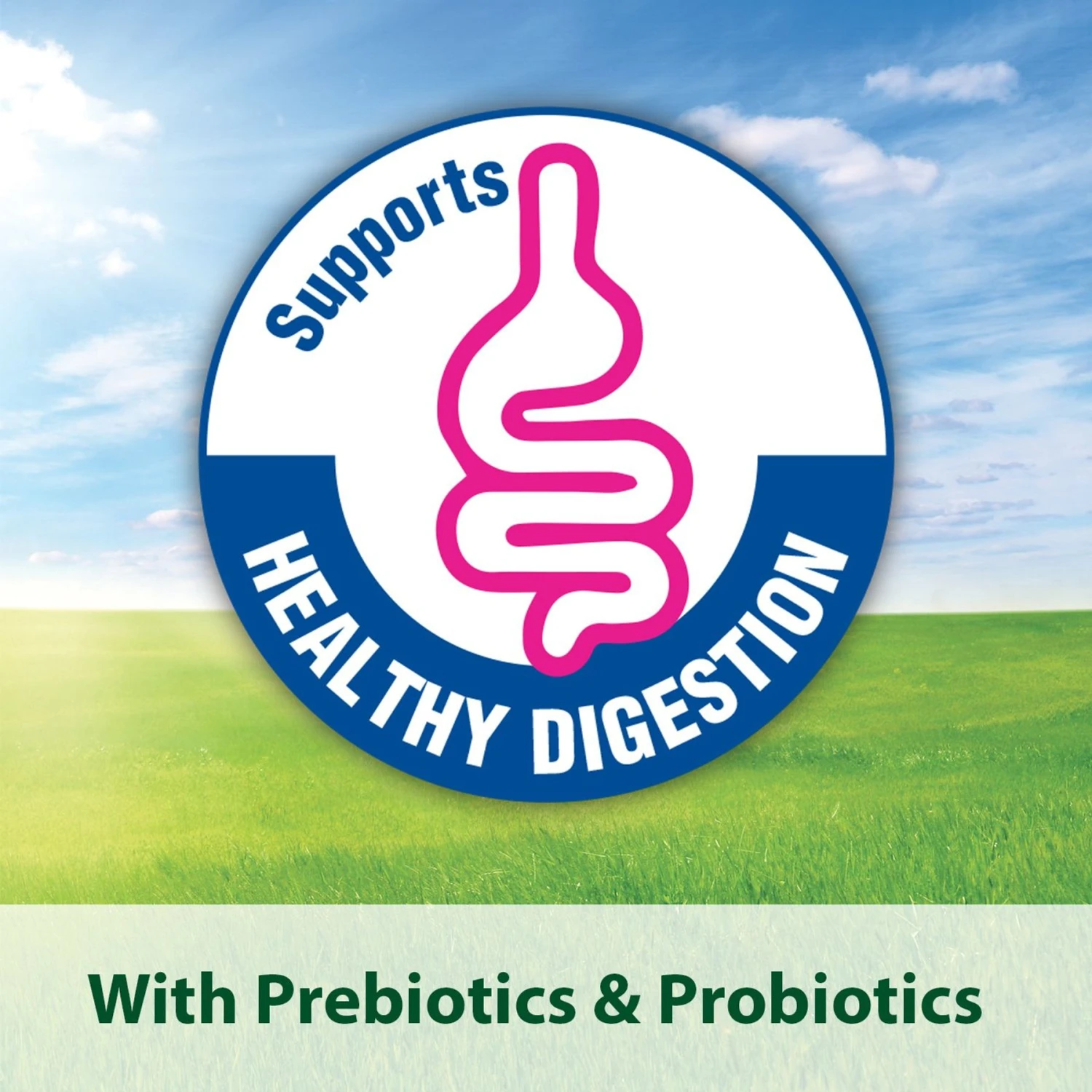 Kaytee Fiesta Variety Mix Parakeet Food 10 Kaytee Fiesta Variety Mix Parakeet Food - Image 8