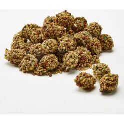 Kaytee Forti-Diet Pro Health Healthy Bits Parrot Bird Treats -Sunny Decor Shop 95270 PT3. AC SS1800 V1581516215