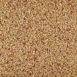 Kaytee Forti-Diet Pro Health Oat Groats Bird Treats -Sunny Decor Shop 95301 PT2. AC SS1800 V1679080029