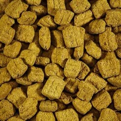 Kaytee Parrot Biscuit Bird Treat 11 Kaytee Parrot Biscuit Bird Treat -Sunny Decor Shop 95307 PT4. AC SS1800 V1550524320