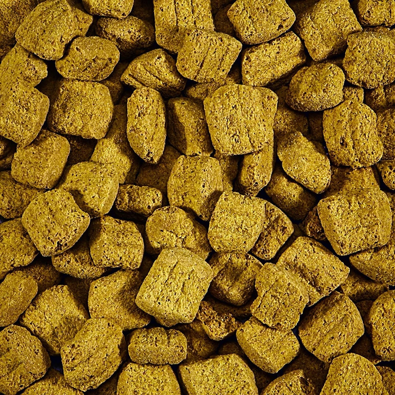 Kaytee Parrot Biscuit Bird Treat 7 Kaytee Parrot Biscuit Bird Treat - Image 5