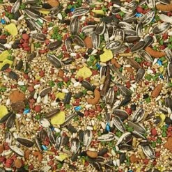 Kaytee Forti-Diet Pro Health Cockatiel Food -Sunny Decor Shop 95316 PT3. AC SS1800 V1591017719