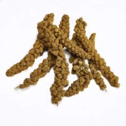 Kaytee Natural Spray Millet Bird Treats -Sunny Decor Shop 95334 pt3. AC SS1800 V1581516237