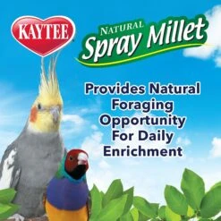 Kaytee Natural Spray Millet Bird Treats -Sunny Decor Shop 95334 pt5. AC SS1800 V1581516242