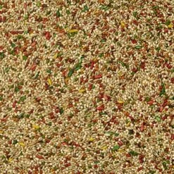 Kaytee Forti-Diet Pro Health Parakeet Food -Sunny Decor Shop 95423 PT3. AC SS1800 V1637624890