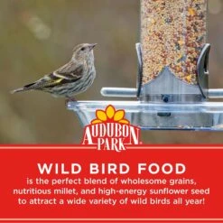 Audubon Park Wild Bird Food, 10-lb Bag 13 Audubon Park Wild Bird Food, 10-lb Bag -Sunny Decor Shop 954302 PT3. AC SS1800 V1699458952