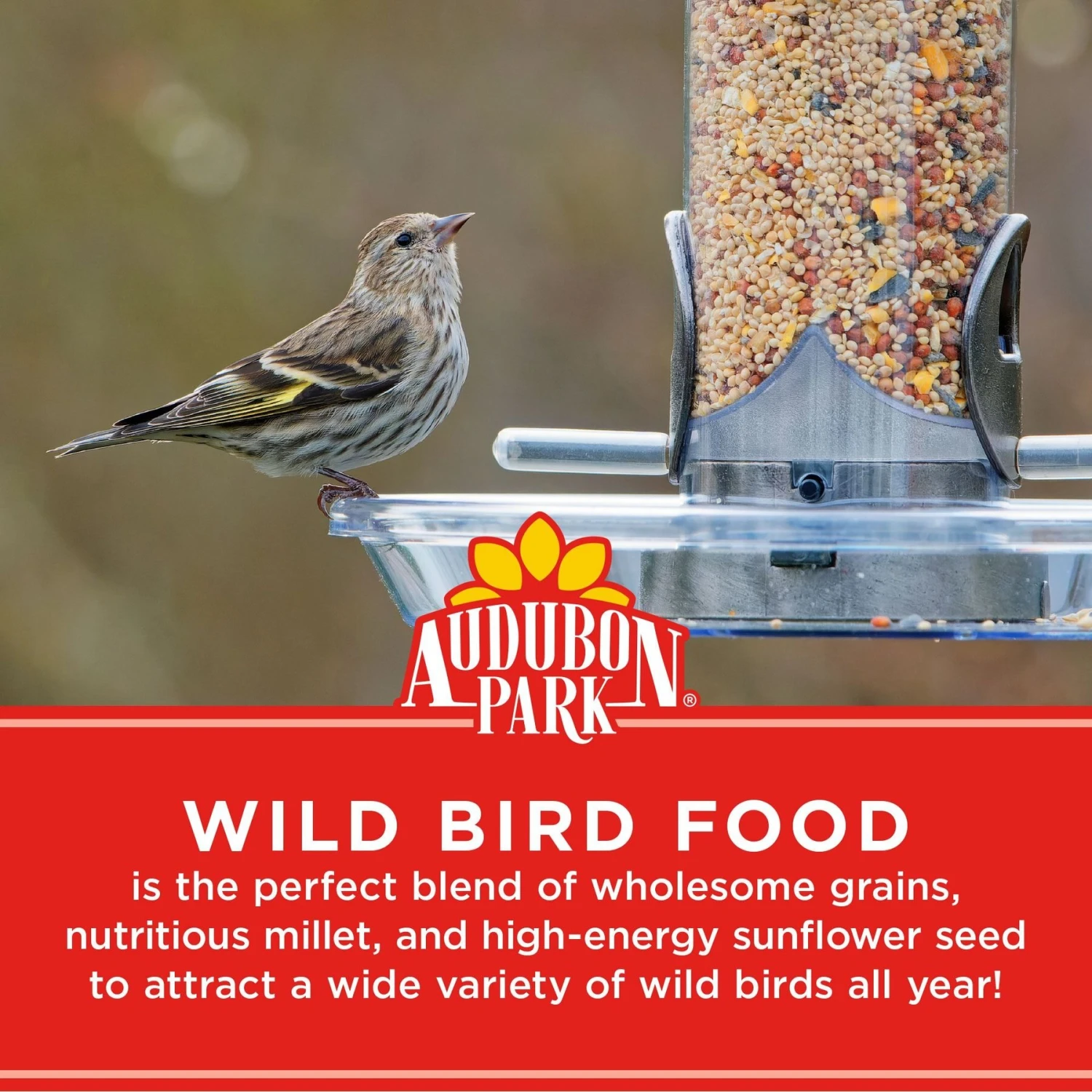 Audubon Park Wild Bird Food, 10-lb Bag 6 Audubon Park Wild Bird Food, 10-lb Bag - Image 4