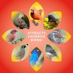 Audubon Park Wild Bird Food, 10-lb Bag 15 Audubon Park Wild Bird Food, 10-lb Bag -Sunny Decor Shop 954302 PT5. AC SS1800 V1699636130