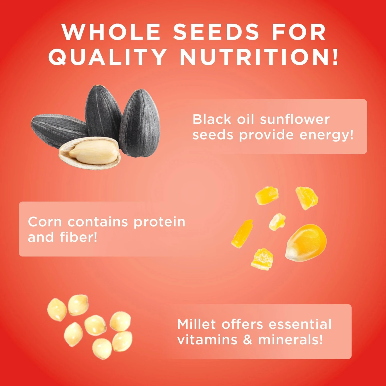 Audubon Park Wild Bird Food, 10-lb Bag 9 Audubon Park Wild Bird Food, 10-lb Bag - Image 7