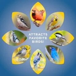 Audubon Park Midwest Blend Wild Bird Food, 20-lb Bag -Sunny Decor Shop 954398 PT5. AC SS1800 V1699638200
