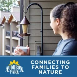 Audubon Park Midwest Blend Wild Bird Food, 20-lb Bag -Sunny Decor Shop 954398 PT7. AC SS1800 V1699458960