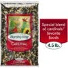 Morning Song Cardinal Wild Bird Food -Sunny Decor Shop 954582 MAIN. AC SS1800 V1700002309