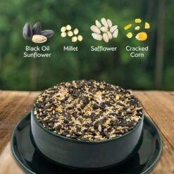 Morning Song Cardinal Wild Bird Food -Sunny Decor Shop 954582 PT2. AC SS1800 V1699638199