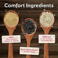 Morning Song Cardinal Wild Bird Food -Sunny Decor Shop 954582 PT4. AC SS1800 V1699457846