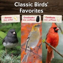 Morning Song Cardinal Wild Bird Food -Sunny Decor Shop 954582 PT5. AC SS1800 V1699638140