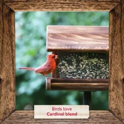 Morning Song Cardinal Wild Bird Food -Sunny Decor Shop 954582 PT6. AC SS1800 V1699638148