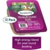 Morning Song Year Round Suet Wild Bird Food, 12 Count -Sunny Decor Shop 954718 MAIN. AC SS1800 V1702503697
