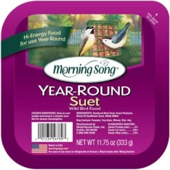 Morning Song Year Round Suet Wild Bird Food, 12 Count -Sunny Decor Shop 954718 PT1. AC SS1800 V1699636132