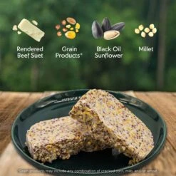 Morning Song Year Round Suet Wild Bird Food, 12 Count -Sunny Decor Shop 954718 PT2. AC SS1800 V1699460119