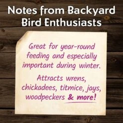 Morning Song Year Round Suet Wild Bird Food, 12 Count -Sunny Decor Shop 954718 PT3. AC SS1800 V1699636132