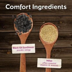 Morning Song Year Round Suet Wild Bird Food, 12 Count -Sunny Decor Shop 954718 PT4. AC SS1800 V1699636132