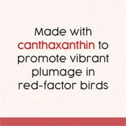 Quiko Special Red Egg Food Supplement For Red Factor Canaries -Sunny Decor Shop 96176 PT5. AC SS1800 V1666652570