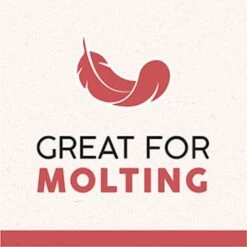 Quiko Special Red Egg Food Supplement For Red Factor Canaries -Sunny Decor Shop 96176 PT6. AC SS1800 V1666652834