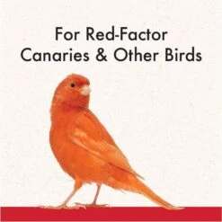 Quiko Intensive Red Color Intensifier Red Factor Canary Supplement -Sunny Decor Shop 96247 PT4. AC SS1800 V1666649923