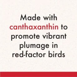 Quiko Intensive Red Color Intensifier Red Factor Canary Supplement -Sunny Decor Shop 96247 PT7. AC SS1800 V1666650161