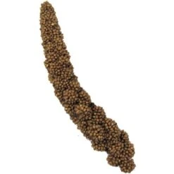 Brown's Tropical Carnival Mini Spray Millet Bird Food -Sunny Decor Shop 97081 PT3. AC SS1800 V1477925304