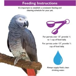 Brown's Tropical Carnival Fortified Daily Diet Natural Small Hookbill Food -Sunny Decor Shop 97576 PT7. AC SS1800 V1593459680