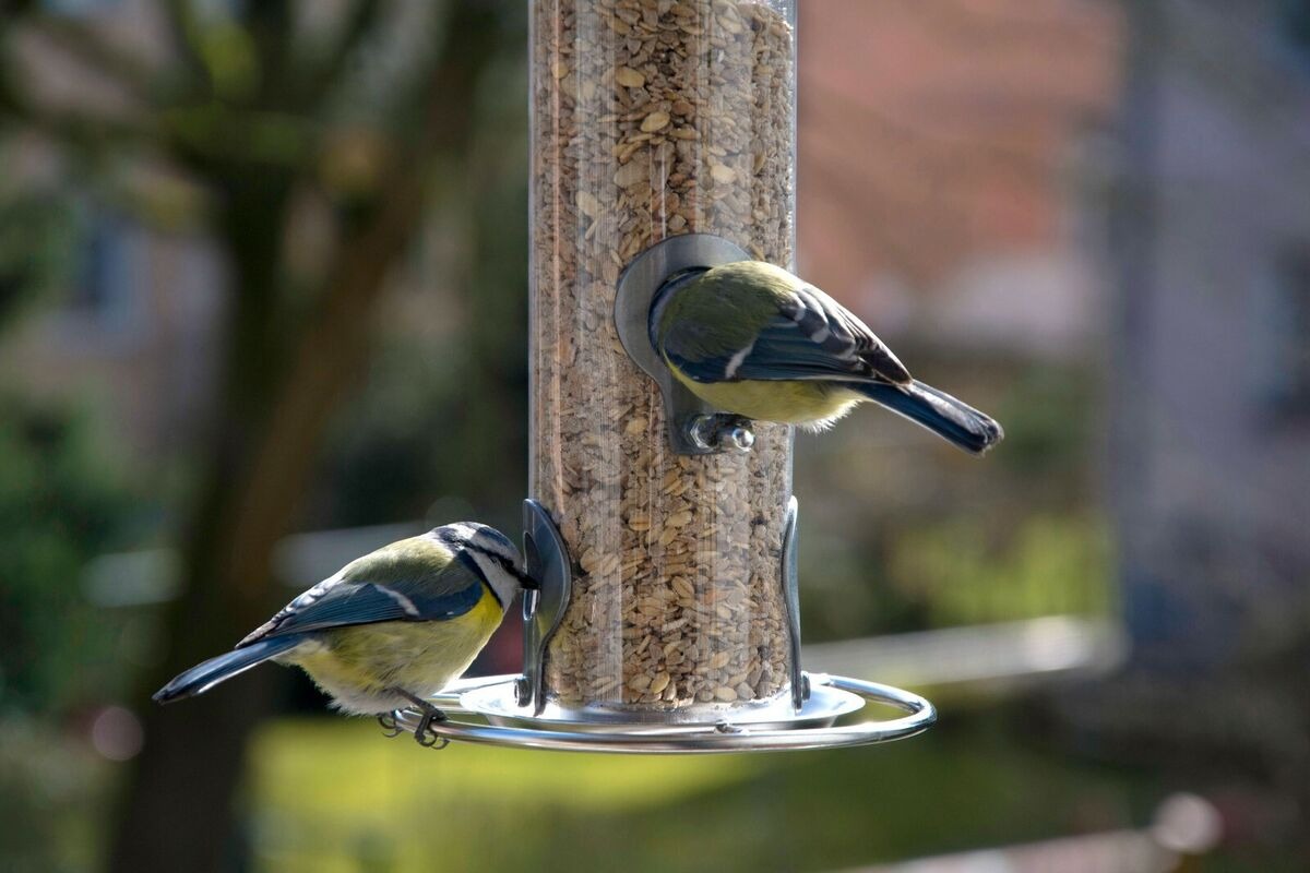 Sunny Decor Shop -Sunny Decor Shop s l1200